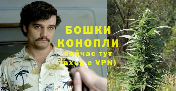 молекула духа Протвино