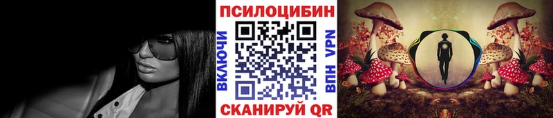 Псилоцибиновые грибы GOLDEN TEACHER OMG Межгорье