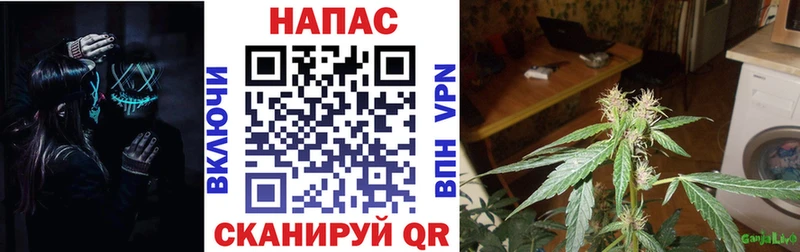 Шишки марихуана Amnesia  наркошоп  OMG маркетплейс  Межгорье 